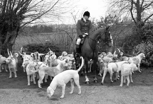Monmouthshire Hunt