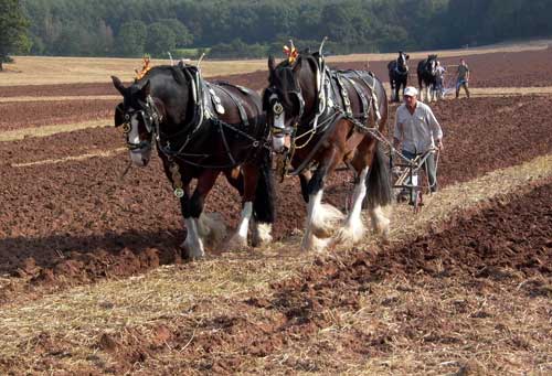 Welsh Ploughing Championship